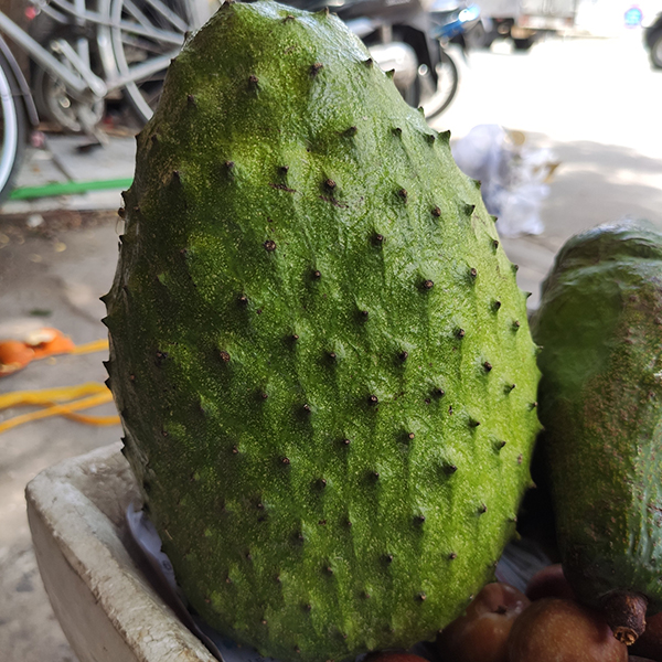 Mãng cầu gai